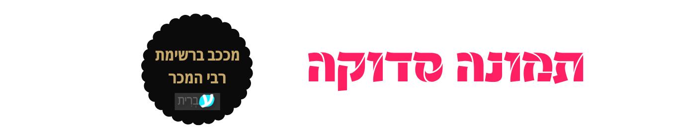 תמונה סדוקה