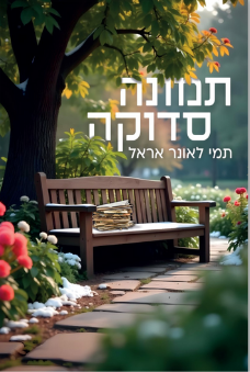כריכת הספר תמונה סדוקה