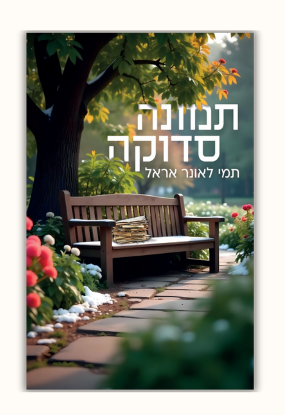 כריכת הספר תמונה סדוקה